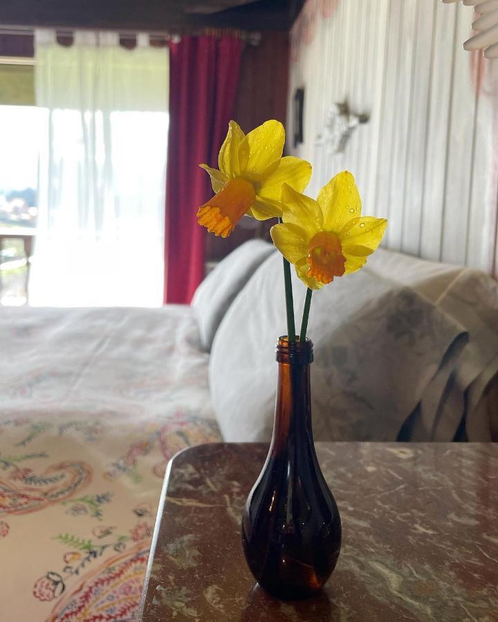 Son De Mar Hotel Rural & Apartamento Quintueles Dış mekan fotoğraf