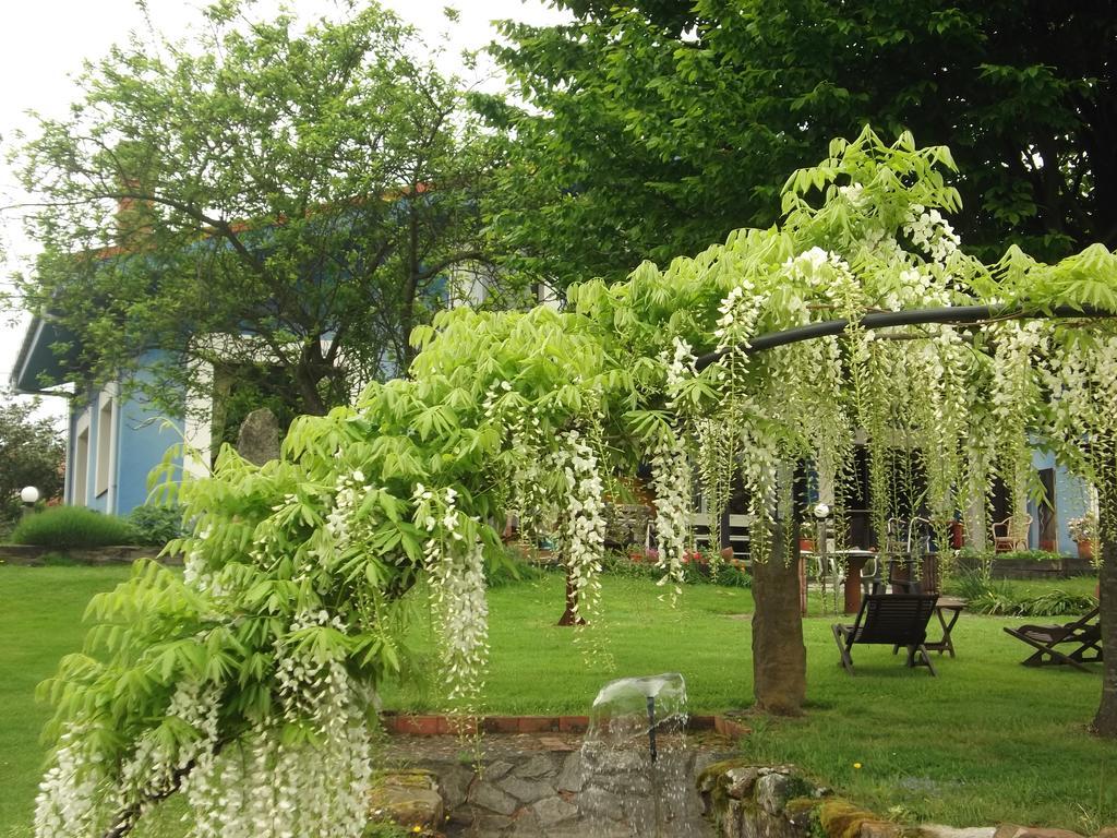 Son De Mar Hotel Rural & Apartamento Quintueles Dış mekan fotoğraf
